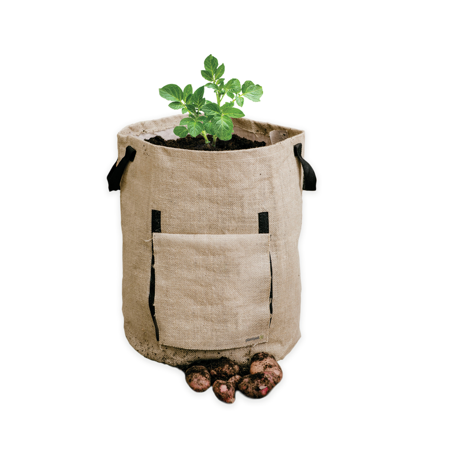 How To Grow Potatoes In Bags