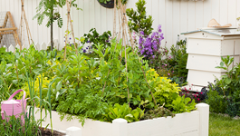 Creating your spring garden