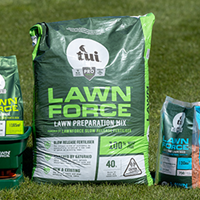 How to Sow a Lawn