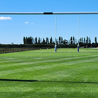 Create a backyard sports field