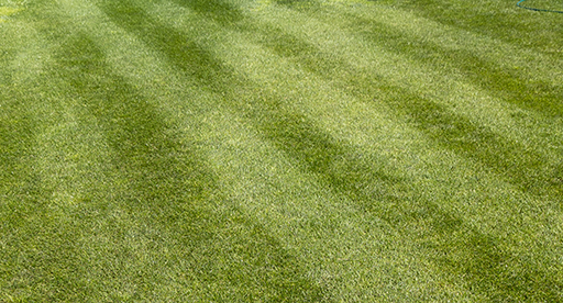 How to mow stripes in a lawn