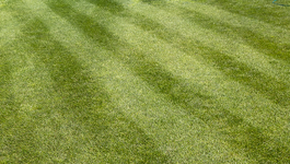 How to mow stripes in a lawn