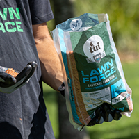 How to sow Tui LawnForce® Superstrike® lawn seed