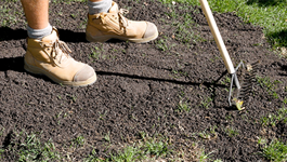 How to Patch a Lawn
