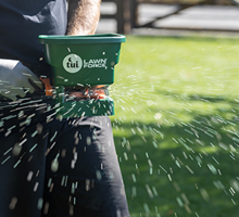 How to Fertilise a Lawn with a Hand-Held Spreader
