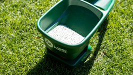Guide to Lawn Fertiliser Types