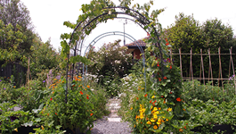 Edible garden arches
