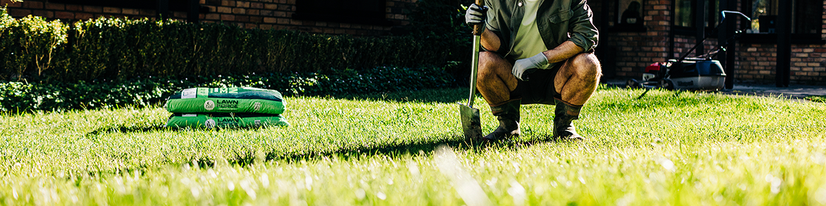 Tui how to prepare your lawn for sowing