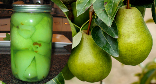Minted Pears