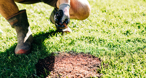 Patching a lawn