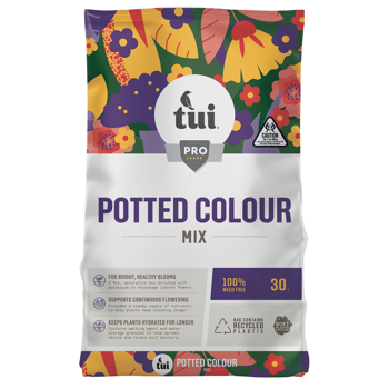 Tui Potted Colour Mix