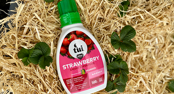 Tui Strawberry Liquid Superfood