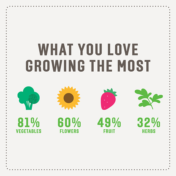 Tui Garden Survey 2026 | Insights from Kiwi Gardeners