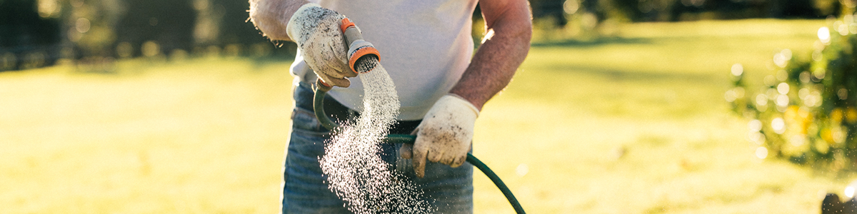 Tui how to care for a new lawn