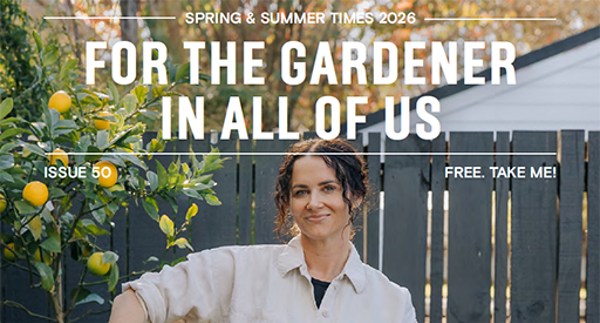 Tui Times Spring/Summer 2026