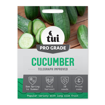 Tui Cucumber Seed - Telegraph Improved