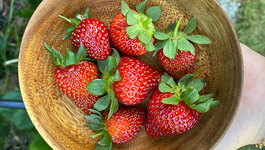 Top Tips for Strawberries