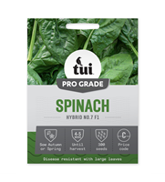 Tui Spinach Seed - Hybrid No7 F1