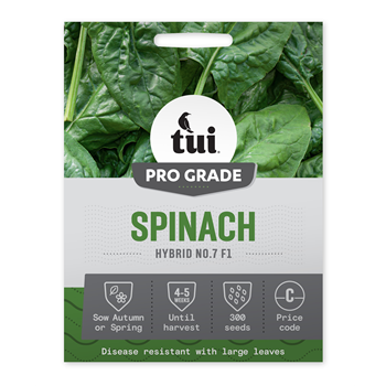 Tui Spinach Seed - Hybrid No7 F1