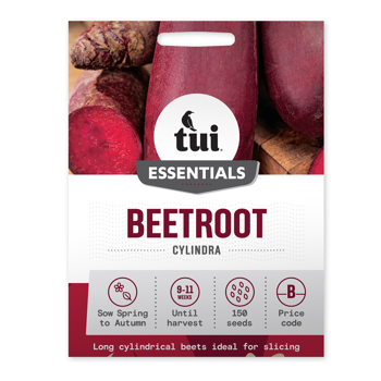 Beetroot - Cylindra
