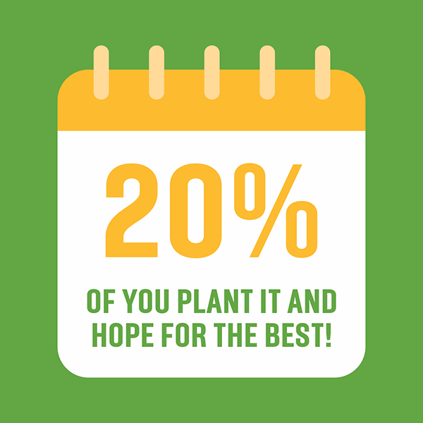 Tui Garden Survey 2026 | Insights from Kiwi Gardeners