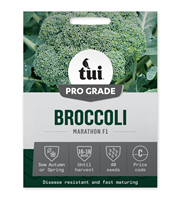 Broccoli - Marathon F1