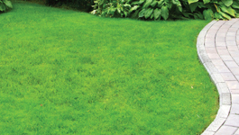 Lawn Frequently Asked Questions