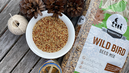 DIY Pinecone birdfeeder