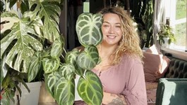 Pick the perfect indoor plant with Hollie
