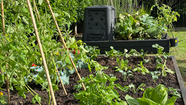 Crop Rotation Guide