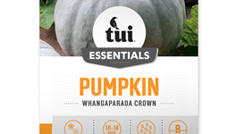 Pumpkin - Whangaparaoa Crown