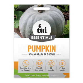 Pumpkin - Whangaparaoa Crown