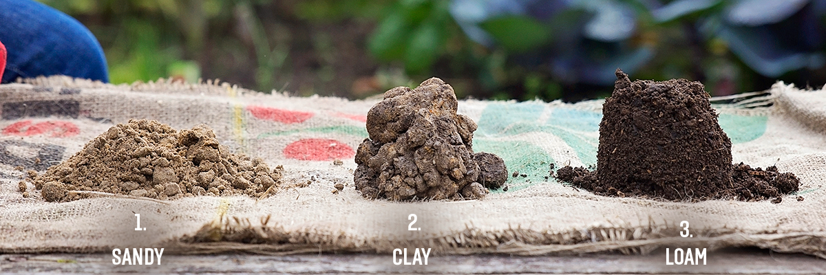 Tui 3 main soil types