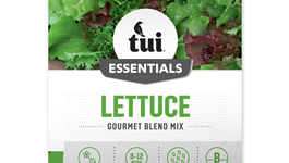 Lettuce - Gourmet Blend Mixed