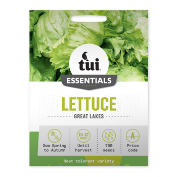 Lettuce - Great Lakes