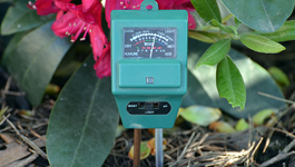 Learn about soil pH