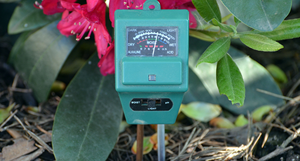 Tui Learn about soil pH soil probe