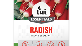 Radish - French Breakfast