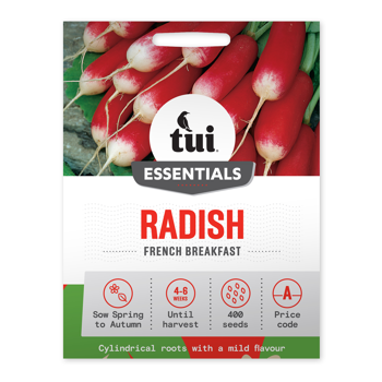 Radish - French Breakfast