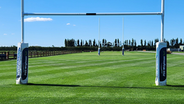 Create a backyard sports field