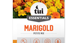 Marigold - Petite Mix