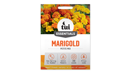 Tui Marigold Seed - Petite Mix