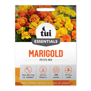 Tui Marigold Seed - Petite Mix