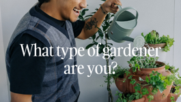 What type of gardener are you?