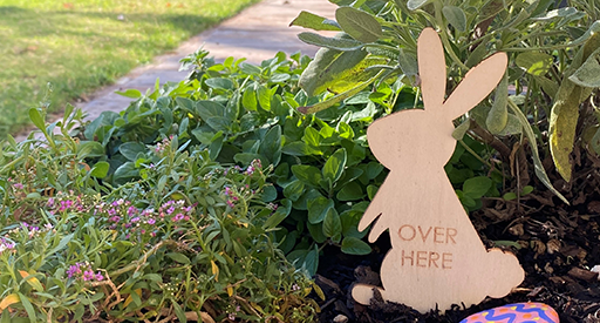 Tui top easter garden tasks