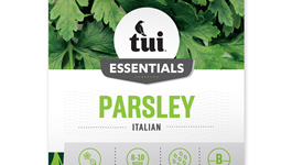 Parsley - Italian