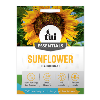 Tui Sunflower Seed - Classic Giant