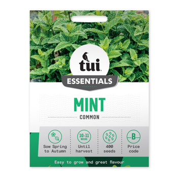 Mint - Common