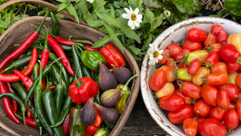 Top 10 Summer Crops