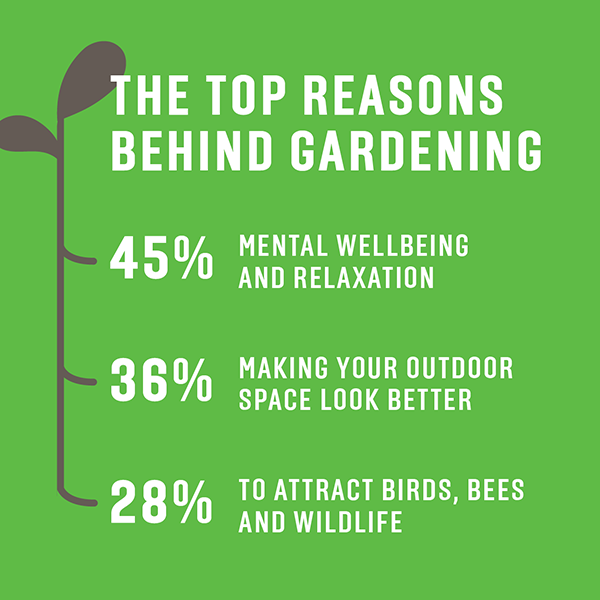 Tui Garden Survey 2026 | Insights from Kiwi Gardeners